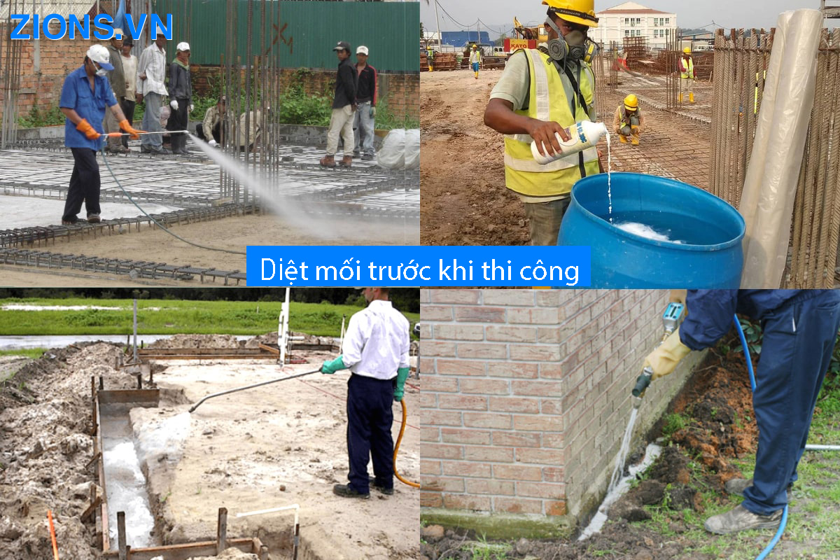 Diệt mối trước khi thi công